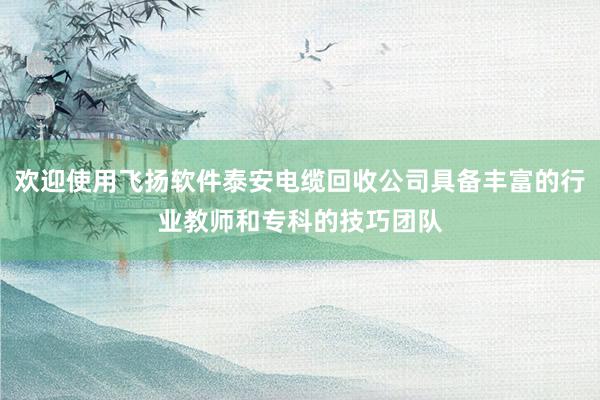 欢迎使用飞扬软件泰安电缆回收公司具备丰富的行业教师和专科的技巧团队