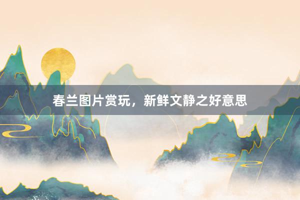 春兰图片赏玩，新鲜文静之好意思