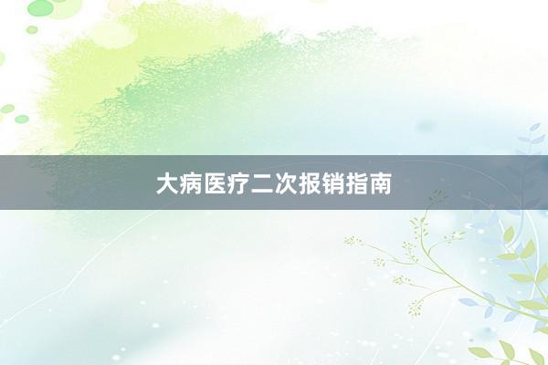 大病医疗二次报销指南