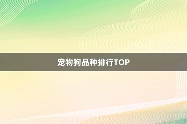 宠物狗品种排行TOP