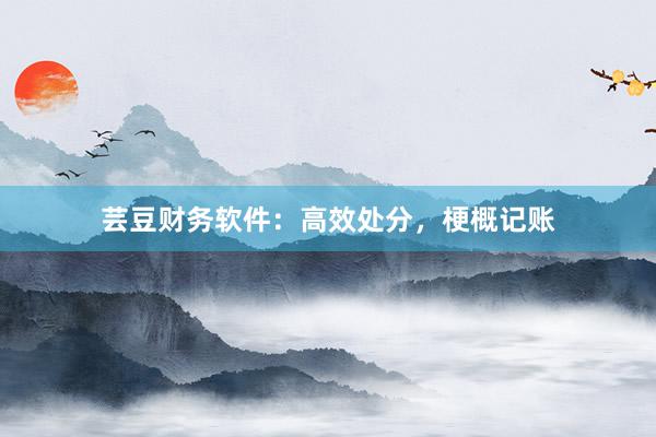 芸豆财务软件：高效处分，梗概记账